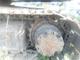 Продаётся гусеничный экскаватор Hitachi ZX 200 2003г
