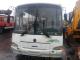 Автобус ПАЗ 4230