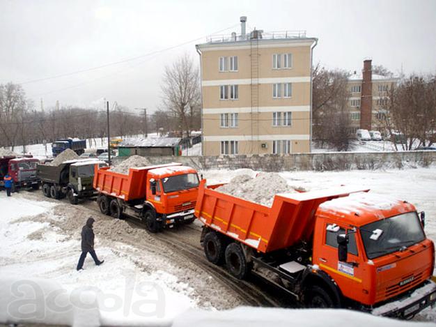 Вывоз снега самосвалами