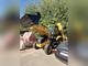 Экскаватор-погрузчик JCB 3CX, 2022 г, 0 м/ч, НОВЫЙ, Англия, 2 шт