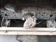 Продам самосвалы КАМАЗ 65115 2012 г.