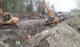 Земляные работы. DOOSAN DX225-1м3 (21500кг)