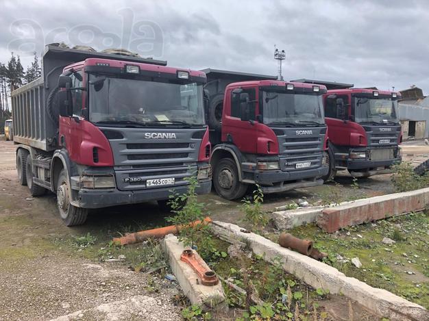 Сдам в аренду самосвал Scania