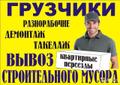 Грузчики СПб и области
