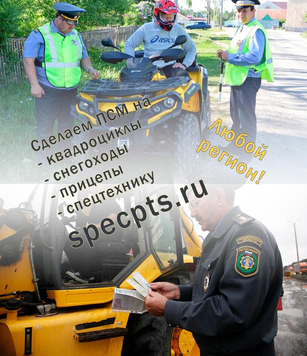 ПСМ на ваш квадроцикл, снегоход, трактор. Изготовим, восстановим. Под любые задачи.